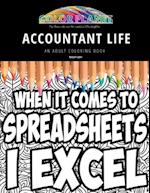 Accountant Life