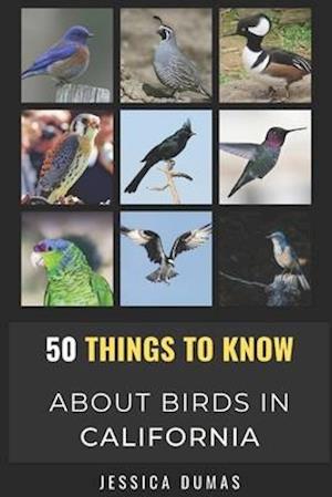 50 Things to Know About Birds in California : Birding in the Golden State