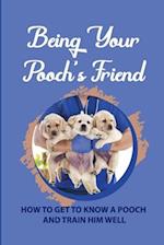 Being Your Pooch's Friend