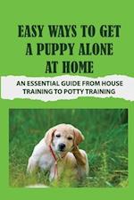 Easy Ways To Get A Puppy Alone At Home