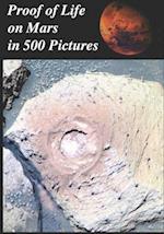 Proof of Life on Mars in 500 Pictures:: Tube Worms, Martian Mushrooms, Metazoans, Microbial Mats, Lichens, Algae, Stromatolites, Fungus, Fossils, Grow