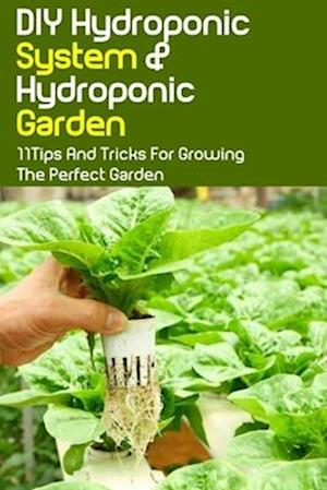 DIY Hydroponic System & Hydroponic Garden