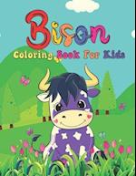 Bison Coloring Book For Kids: Cute Bison Coloring Books.30 Unique Designs For All Ages Kids Toddlers, Teens, and Preschool. 