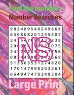 Find the numbers: Number Searches 