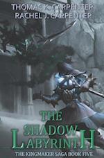 The Shadow Labyrinth: A LitRPG Adventure 