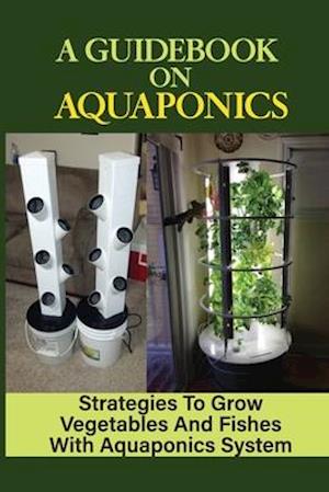 A Guidebook On Aquaponics