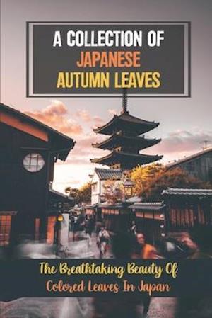 A Collection Of Japanese Autumn Leaves
