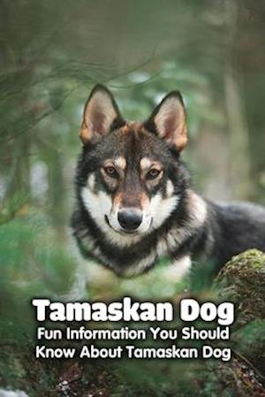 Tamaskan Dog: Fun Information You Should Know About Tamaskan Dog: Tamaskan Dog Information, Temperament, Puppies, Pictures