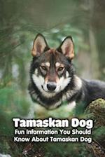 Tamaskan Dog: Fun Information You Should Know About Tamaskan Dog: Tamaskan Dog Information, Temperament, Puppies, Pictures 