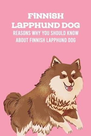 Finnish Lapphund Dog: Reasons Why You Should Know About Finnish Lapphund Dog: Finnish Lapphund Dog Breed Information, Characteristics & Heath Problems