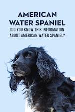 American Water Spaniel: Did You Know This Information About American Water Spaniel?: Everything You Need To Know About American Water Spaniel 
