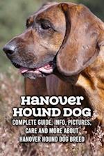 Hanover Hound Dog: Complete Guide, Info, Pictures, Care and More About Hanover Hound Dog Breed: Hanover Hound Dog Care Manual 