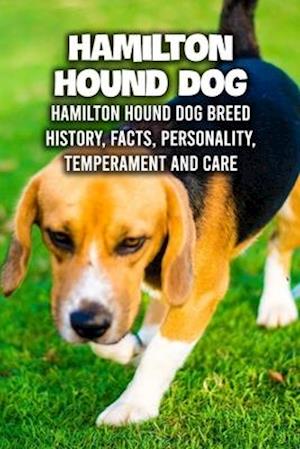 Hamilton Hound Dog: Hamilton Hound Dog Breed History, Facts, Personality, Temperament and Care: Hamilton Hound Dog Handbook