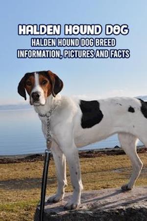 Halden Hound Dog: Halden Hound Dog Breed Information, Pictures and Facts: Halden Hound Dog Guide Book