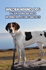 Halden Hound Dog: Halden Hound Dog Breed Information, Pictures and Facts: Halden Hound Dog Guide Book 