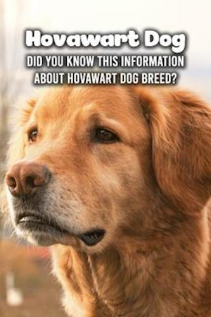 Hovawart Dog: Did You Know This Information About Hovawart Dog Breed?: Hovawart Dog Outline Handbook