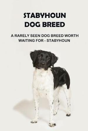 Stabyhoun Dog Breed: A Rarely Seen Dog Breed Worth Waiting for - Stabyhoun: Stabyhoun Dog Breed Information, Photos, Traits and Facts