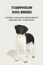 Stabyhoun Dog Breed: A Rarely Seen Dog Breed Worth Waiting for - Stabyhoun: Stabyhoun Dog Breed Information, Photos, Traits and Facts 