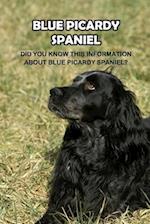 Blue Picardy Spaniel: Did You Know This Information About Blue Picardy Spaniel?: Blue Picardy Spaniel Dog Breed Information 