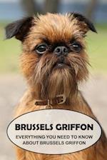 Brussels Griffon: Everything You Need to Know About Brussels Griffon: Brussels Griffon Dog Breed Pictures 
