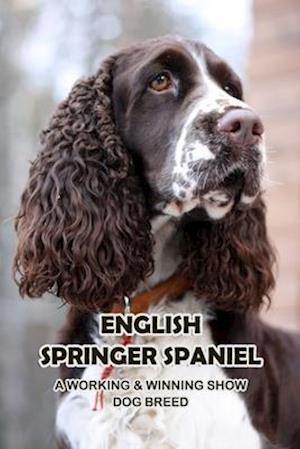 English Springer Spaniel: A Working & Winning Show Dog Breed: Getting To Know The English Springer Spaniel