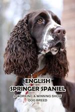 English Springer Spaniel: A Working & Winning Show Dog Breed: Getting To Know The English Springer Spaniel 