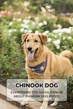 Chinook Dog: Everything You Should Know About Chinook Dog Breed: Things You Didn't Know about the Chinook Dog 