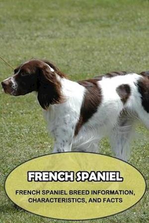 French Spaniel: French Spaniel Breed Information, Characteristics, and Facts: Things You Didn't Know about the French Spaniel Dog