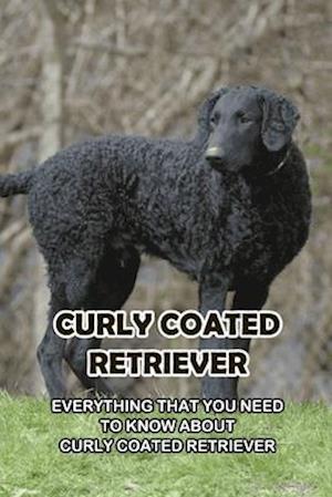 Curly Coated Retriever: Everything That You Need to Know About Curly Coated Retriever: How Well You Know ABout Curly Coated Retriever?