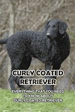 Curly Coated Retriever: Everything That You Need to Know About Curly Coated Retriever: How Well You Know ABout Curly Coated Retriever? 