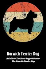 Norwich Terrier Dog: A Guide to The Short-Legged Hunter, The Norwich Terrier Dog: Norwich Terrier Dog Breed Facts and Traits 