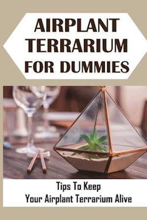 Airplant Terrarium For Dummies