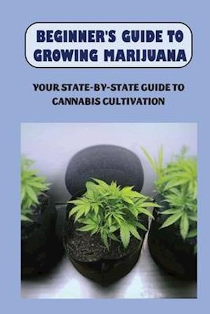 Beginner's Guide To Growing Marijuana