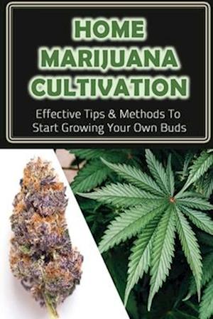 Home Marijuana Cultivation
