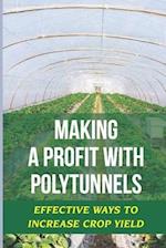 Making A Profit With Polytunnels