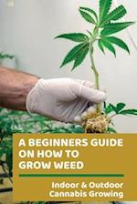A Beginners Guide On How To Grow Weed