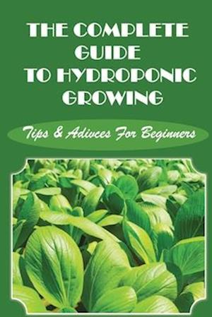 The Complete Guide To Hydroponic Growing