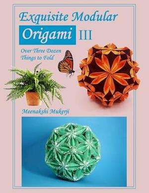 Exquisite Modular Origami III