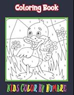 Coloring Book Kids Color By Number : Large Print Animals, Brid, Flowers Coloring Activity Book 