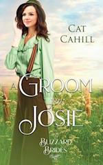 A Groom for Josie: (The Blizzard Brides Book 24) 