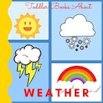 Toddler Books About Weather: Picture Books for Toddlers About the Weather Ages 1-3 