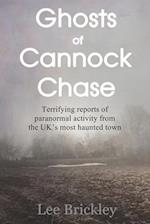 Ghosts of Cannock Chase : Terrifying reports of paranormal activity from the UK's most haunted town 