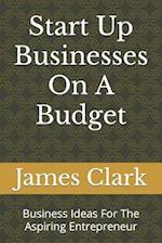 Start Up Businesses On A Budget: Business Ideas For The Aspiring Entrepreneur 