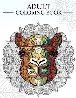 Adult Coloring Book