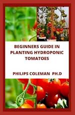 BEGINNERS GUIDE IN PLANTING HYDROPONIC TOMATOES 