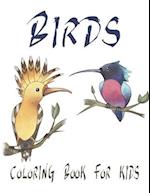 Birds Coloring Book For Kids: Large Bird Coloring Book 