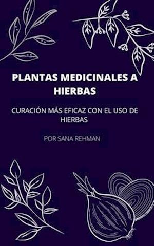 Plantas Medicinales a Hierbas