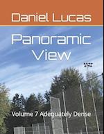 Panoramic View : Volume 7 Adequately Dense 