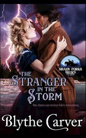 The Stranger in the Storm