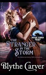 The Stranger in the Storm 